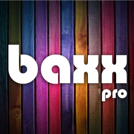 Студия дизайна интерьера BAXX Pro Краснодар