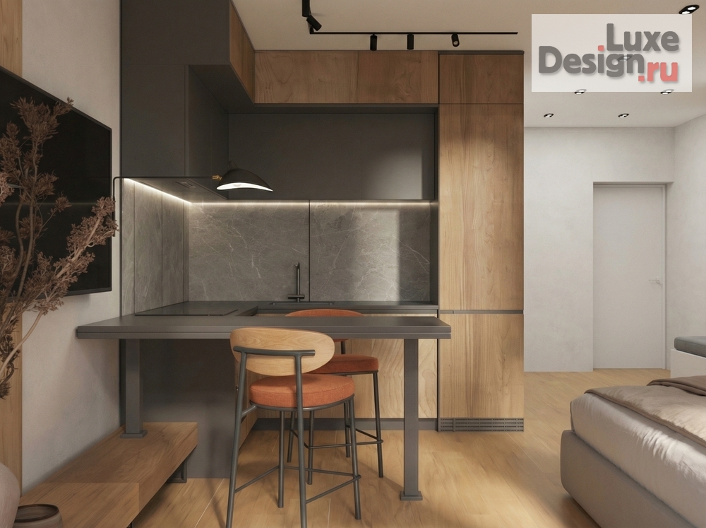 Дизайн интерьера квартиры студии "Студия "ЖК "Самолёт" г. Краснодар" (фото 2)