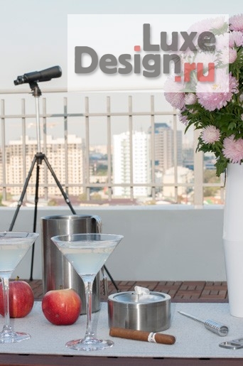 Дизайн интерьера загородного дома "Проект террасы" (фото 7)